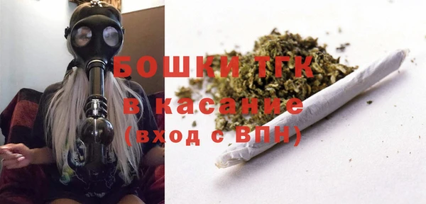 гидра Арсеньев