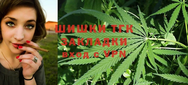гидра Арсеньев