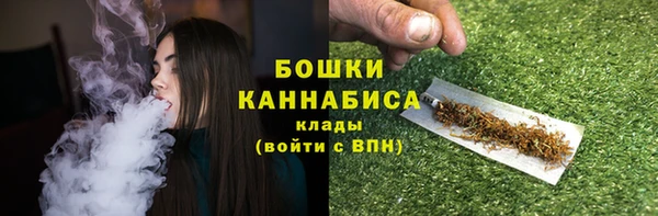 гидра Арсеньев