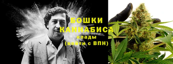 гидра Арсеньев