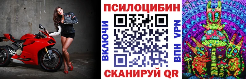 что такое наркотик  ссылка на мегу ONION  нарко площадка Telegram  Темрюк  Псилоцибиновые грибы Psilocybe 